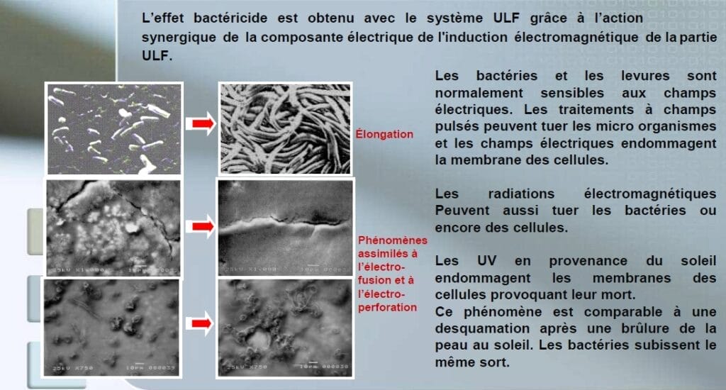L'arrêt de la formation des boues permet un échange optimisé de la chaleur soit des économies d'énergie jusqu'à 30%.