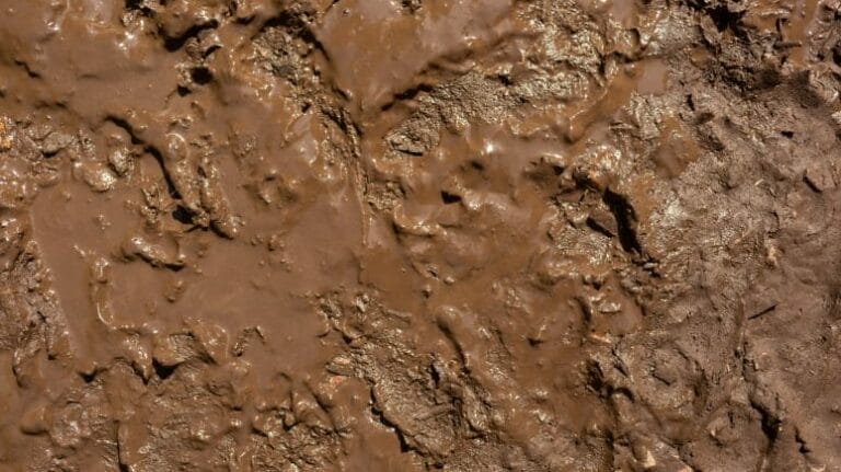 Boues dans un circuit de chauffage : mélange de corrosion, bactéries et tartre